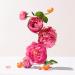 Roger&Gallet Rose Body Lotion 250ml - Buy Online on GoSupps.com