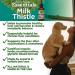 Animal Essentials Milk Thistle Liver Support for Dogs & Cats - Made in USA Liver Supplement | Various Sizes - Buy Online on GoSupps.com