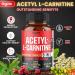 Acetyl L-Carnitine Supplement 2600mg - Brain & Memory Support - 90 Vegan Capsules - Buy Online on GoSupps.com