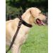 Joyal Tactical Dog Collar - Medium Size with Handle & QR Code | Durable Brown Collar for Medium Dogs - Buy Online on GoSupps.com