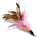 onebarleycorn Cat Toys Feather Refills for Cat Wand Toys Interactive include Replacement Feathers 1 Count (Pack of 1) - Buy Online on GoSupps.com