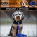 DDOXX Reflective Nylon Dog Leash - 2m 3-Way Adjustable for All Dog Sizes - XS Purple (1.0 x 200 cm) - International Shipping Available - Buy Online on GoSupps.com