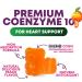 CoQ10 Gummies for Adults 100mg - 3X Strength High Absorption Antioxidant Supplement for Heart Health Support & Energy Production Ultra Coenzyme Q10 Vitamins Coq 10 Supplements - 30 CoQ10 Gummies 30 Count (Pack of 1) - Buy Online on GoSupps.com