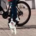 Wiyety Retractable Dog Leash - Perfect for Biking & Training | Safe Easy Installation Control Your Pet with Confidence (Black) - Buy Online on GoSupps.com