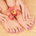 720 Pieces 30 Sets Short False Toe Nails - Bright Matte Solid Color Press On Toenails for Women & Girls - Buy Online on GoSupps.com