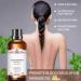 Plant Massage Oil Turmeric Oil for Arthritis & Pain Relief Relaxing Warming Wormwood Ginger Essential Oil Organic Rosemary Oil Moisturizing Body Oil Promote Blood Circulation (2PCS) - Buy Online on GoSupps.com