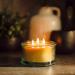 Buy Bluecorn Botanica Beeswax Candle - 3-Wick Pure Beeswax & Vanilla Scented Candle | International Shipping Available - Buy Online on GoSupps.com