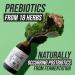 Flora Biome - Live Probiotic Prebiotic & Postbiotic Organic Live-Culture 10 Probiotic Strains 18 Fermented Herbs - Complete Gut Health & Microbiome Optimizer (16 oz) - Buy Online on GoSupps.com