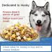 Dog Food Puppy Food Husky 5kg 40kg General-Purpose Adult Dog Hair strengthening Bone Removing Tear Marks Fruit 5 kg (Pack of 1) - Buy Online on GoSupps.com