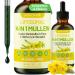 Mullein Drops For Lungs Liposomal 14 In 1 Mullein Leaf Extract For Lungs Mullein Drops with Elderberry Chlorophyll Thyme - for Lung Cleanse Detox Respiratory Immune Health 3 Fl 0Z Mint Flavor 3 Fl Oz (Pack of 1)