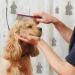 Gliitatu Dog Grooming Smock - Full Zipper Non-Sticky Hair Stylist Jacket (L) | Perfect for Groomers & Barbers - Shop Internationally! - Buy Online on GoSupps.com