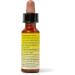 Rescue Pet Calming Dropper 10ml - Natural Flower Essences for Dogs & Cats | Separation, Fireworks, Travel, Thunder & Loud Noises Relief - Buy Online on GoSupps.com