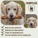 Petlove Olive Wood Chewing Bones for Dogs | Dental Care & Play Toy for Medium to Large Dogs | 100-220g - Buy Online on GoSupps.com