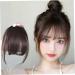Clip in Bangs for Women 9.8" Fake Hair Natural Clip on Bangs Dark Brown Air Bangs Hair Clip with Temples & Invisible Breathable Net Curlable Cuttable Fake Bangs - Buy Online on GoSupps.com