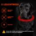 Nepfaivy Light Neck Band for Dogs - USB Charging Waterproof LED Collar with 3 Modes Adjustable Length for Large & Medium Dogs (Red-B) - Buy Online on GoSupps.com