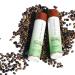 Haitian Black Castor Oil Scalp Care Shampoo 8 OZ by KREYOL ESSENCE - Buy Online on GoSupps.com