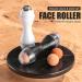 JPNK Oil Absorbing Volcanic Roller 2PCS - Portable Reusable Face Roller for Oil Control - Natural Stone Facial Tool for Skin Massage at Home or Travel - Buy Online on GoSupps.com