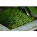 SuperMoss 21509 Sheet Moss 2oz Bag - Preserved Fresh Green Moss for Crafts and Decor - Buy Online on GoSupps.com