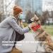 Best Dog Muzzle for Small & Medium Dogs - Prevent Biting Barking & Chewing | Breathable Nylon Design Soft Adjustable Fit - Buy Online on GoSupps.com