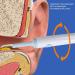 MAVIS LAVEN 1080P Ear Wax Removal Otoscope with 360 Lens & WiFi Connection - Fast Charging Long Ear Spoon Ear Cleaning Camera for iOS (White) - Buy Online on GoSupps.com