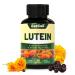 Lutein for Eyes Lutein 20mg Lutein and Zeaxanthin Supplements Eye Supplements Eyestrain Relief & Support Vision Health Vegan 60 Softgels 1 Count (Pack of 60)