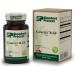 Standard Process Cataplex B GF - 360 Tablets for Metabolic, Cardiovascular & Nervous System Health - Buy Online on GoSupps.com