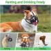 Dog Muzzle Large Breed Adjustable Basket Muzzle for Large Dogs Allows Panting and Drinking Humane Cage Dog Muzzles Prevent Biting Barking and Chewing Perfect for Grooming and Training L - Buy Online on GoSupps.com