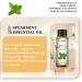 EUQEE Spearmint Essential Oil 10ml 100% Pure Natural Spearmint Oils Aromatherapy Essential Oils for Diffusers for Home Relax Candle Making Spearmint 10 ml (Pack of 1) - Buy Online on GoSupps.com