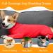 ETDANE Post-Operative Recovery Suit for Dogs | Anti-Hair Loss Long-Sleeved Bodysuit for Female & Male Dogs | Size L (Large) - Orange/Red - Buy Online on GoSupps.com