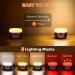 Rechargeable Camping Lantern 1000LM - 5 Light Modes, Remote Control, Magnetic Base - Orange Mini Lantern Flashlight for Camping, Hiking, Power Outages - Up to 150H Battery Life - Buy Online on GoSupps.com