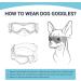 Dog Goggles UV Protection Sunglasses for Small & Medium Breeds | Adjustable Straps | Black - Buy Online on GoSupps.com