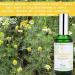 Chamomile Hydrosol Face Toner - Organic Floral Water for Hydrating Calming & Soothing Sensitive Skin | USA Made - Hello Cider - Buy Online on GoSupps.com