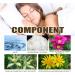 Magnesium Oil Spray For Sleep And Foot Care - 100ml Vanilla Butter Magnesium Spray For Feet Magnesium Oil For Feet Topical Magnesium Body Spray Magnesium Sleep Spray - Buy Online on GoSupps.com
