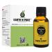 Earth N Pure Moringa Oil Cold Pressed, Natural and Therapeutic Grade 30 ml Moringa 1.06 Fl Oz (Pack of 1)