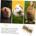 Levemolo Rabbit Biting Playthings Wooden Rabbit Chew Snack Animals Chewing Playthings - Buy Online on GoSupps.com