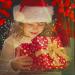 SAKOLLA 10Pcs Christmas Gel Filter - Red/Green Transparent Film 8.5 x 11 Inches Colored Overlays for Outdoor Lighting - Christmas Landscape Decoration - Buy Online on GoSupps.com