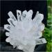 Natural White Phantom Quartz Crystal Cluster Samples Home Office Decoration Crystal Cluster (Size : 480-500) - Buy Online on GoSupps.com