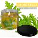 Handmade Citronella Scented Candles - Strongly Scented Outdoor Aromatherapy - USA Made (12 oz - Buy Online on GoSupps.com
