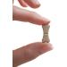 RS Pet Bayer Drontal Worming Tablet for Dogs Pack of 2 tablets Big - Buy Online on GoSupps.com