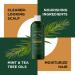 Invigorating Tea Tree Mint Shampoo - Clarifying Rosemary Mint Shampoo for Oily Hair with Tea Tree Oil - Aromatherapy Shampoo for Dry Scalp & Flakes with Essential Oils - Buy Online on GoSupps.com