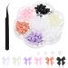 Nayyana Colorful loop nodel plug stone crystal 3D loop noden nail trailer set for nail stones DIY decoration jewelry stones nail art road stones
