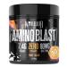 Warrior Amino Blast 270g BCAA Powder Branched Chain Amino Acids Supplement Intra Workout & Recovery Energy Drink 30 Servings (Fruit Salad)