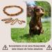 PetLove 100% Baltic Amber Dog Necklace | 45cm Collar for Dogs & Cats - International Shipping Available - Buy Online on GoSupps.com