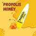 BioRLX Propolis and Honey Lip Balm - Natural Color-Free Moisturizing Lip Care for Soft and Hydrated Lips (There Lip Balm) (Propolis & Honey 0.12 Ounce (Pack of 3)) Propolis & Honey 0.12 Ounce (Pack of 3) - Buy Online on GoSupps.com