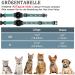 Jiarui Reflective AirTag Cat Neck Band - Adjustable GPS Collar for Cats & Puppies (9-13 inch) with Bell | International Shipping Available - Buy Online on GoSupps.com