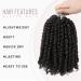 10 Inch Pre-Twisted Passion Twist Crochet Hair 7 Packs - Short Pre-looped Braids in 1B Natural Black - Pack of 7 - Buy Online on GoSupps.com