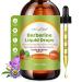 LTTLAODIZ Liquid Berberine Drops with Ceylon Cinnamon & Chromium Picolinate Blood Sugar Support Complex Berberine Liquid Supplement 300mg per Serving 2 fl oz