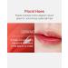 Buy Vegan Serum Lip Tint (02 Garden) - Long-Lasting Moisturizing & Lightweight Korean Makeup | Luminous Hydrated Lips - International Shipping - Buy Online on GoSupps.com