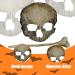 Clips Skull Hair Pin for Woman Halloween Retro Plating Hairdressing Skull Hair Clip Gothic Halloween Hair Accessories for Party Makeup Cosplay Costume - Buy Online on GoSupps.com