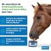 Imima Mineralleckstein Horse Anti-Insect Salzleckstein Set | 2 x 3kg Mineral Salt Lick Stones for Horses Sheep Goats & Cattle - 6kg Total Pack - Buy Online on GoSupps.com